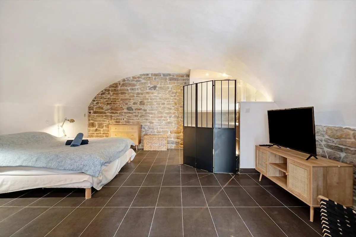Charme De L'Ancien, Confort Et Terrasse, Caluire צרפת